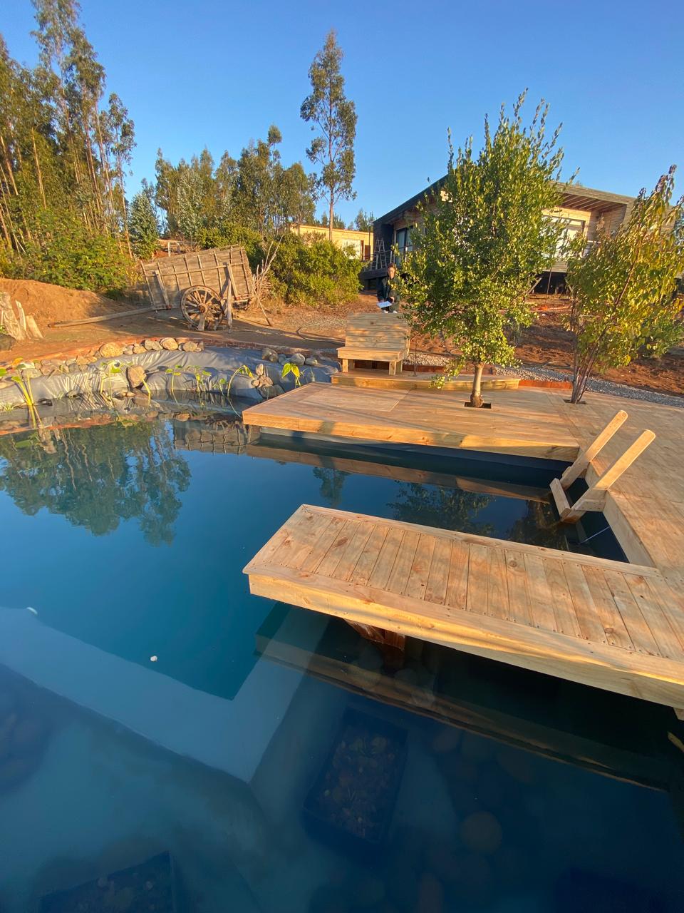Terraza de madera con trampolín sobre el agua clara de la biopiscina