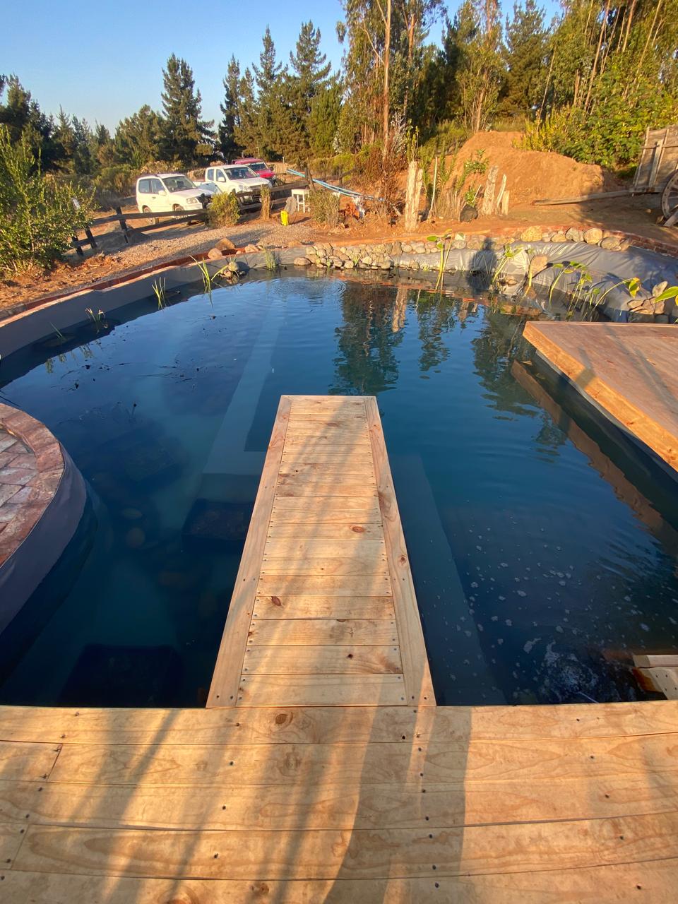 Muelle de madera sobre el agua turquesa de la biopiscina con escalones sumergidos