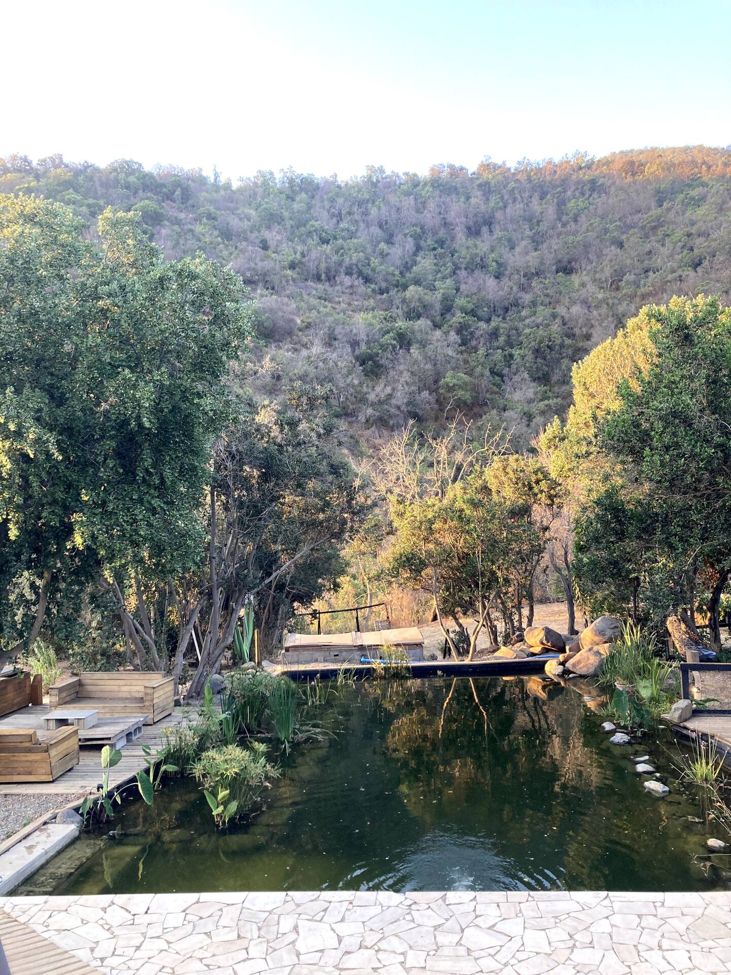Espejo de agua de la biopiscina con el cerro boscoso al fondo