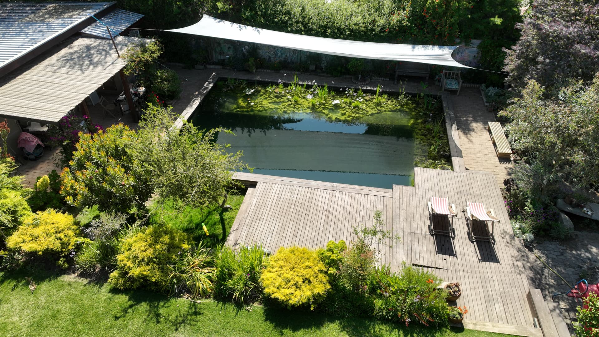 Vista aérea de la biopiscina rectangular con terraza de madera y jardín