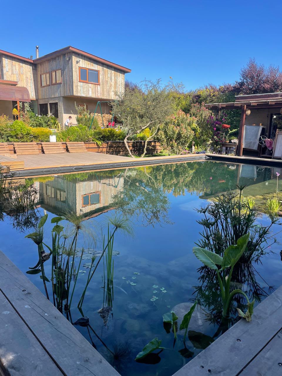 Espejo de agua de la biopiscina reflejando la casa de madera de dos pisos